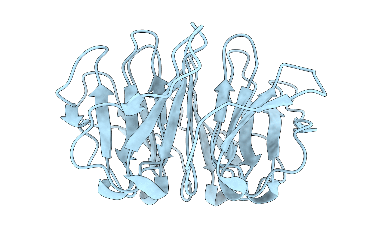 6I38 image