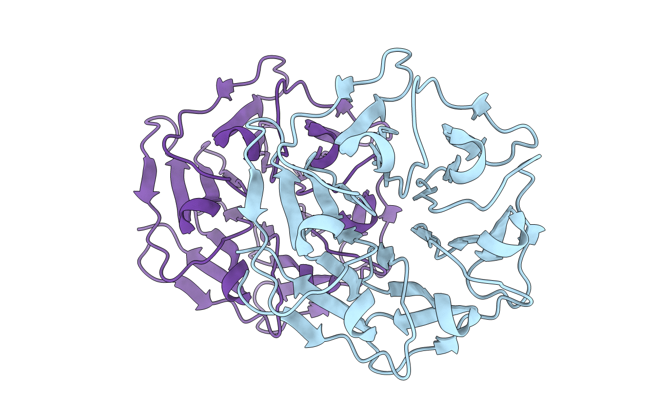 6I3B image