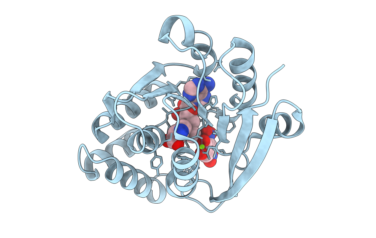 6I3C image