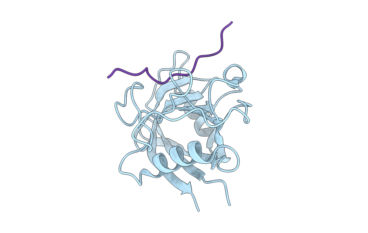 6I42 image