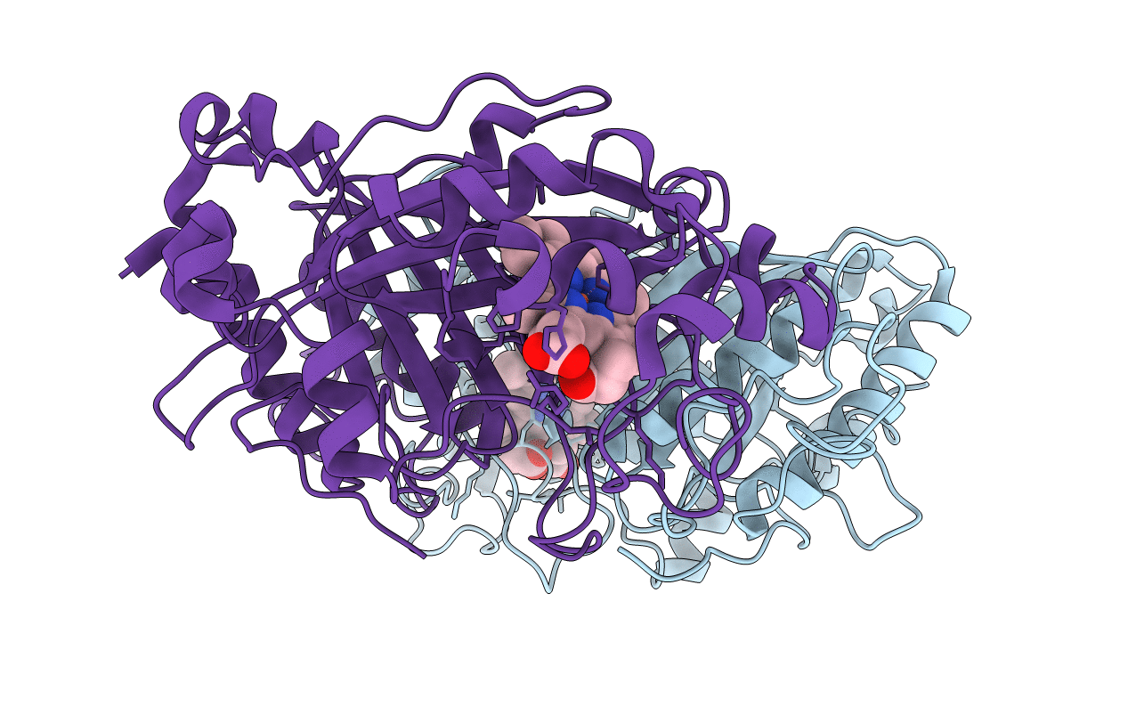 6I43 image