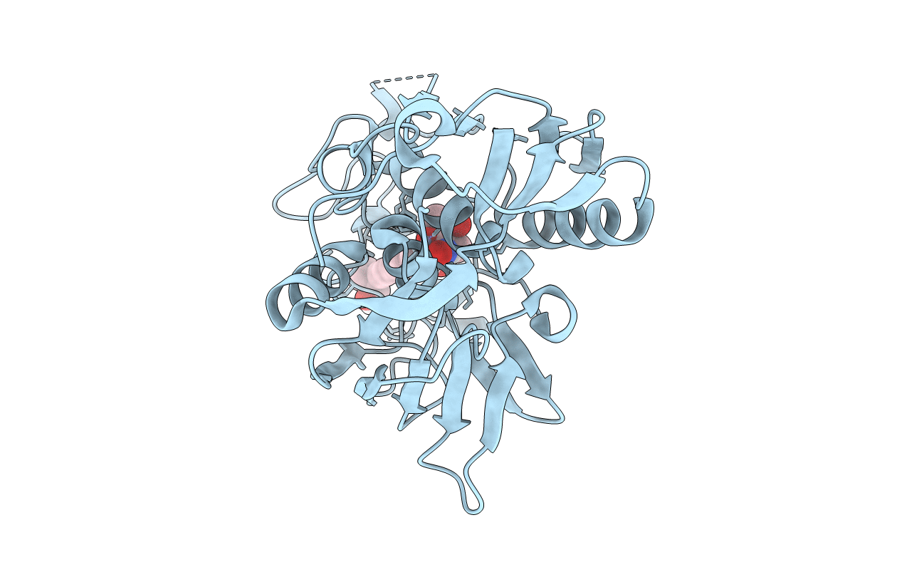 6I4A image