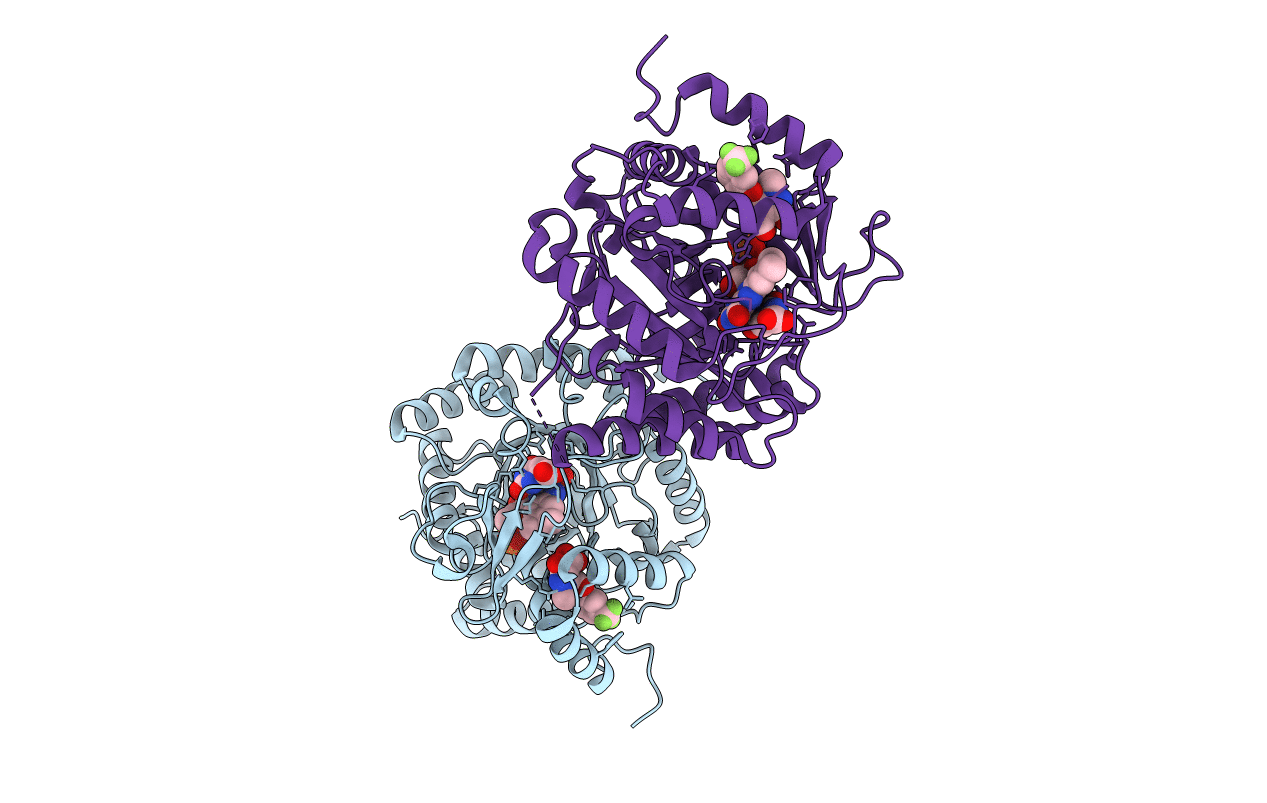 6I4B image