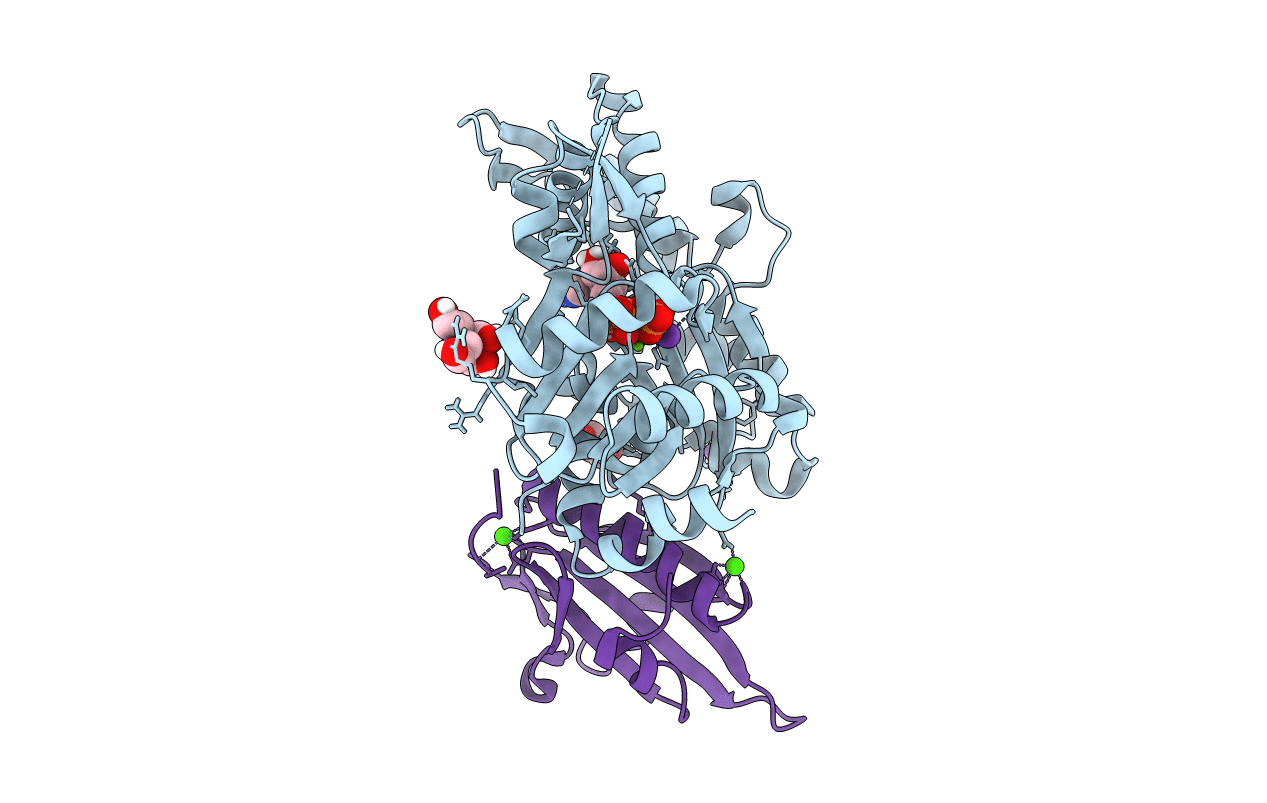 6I4F image