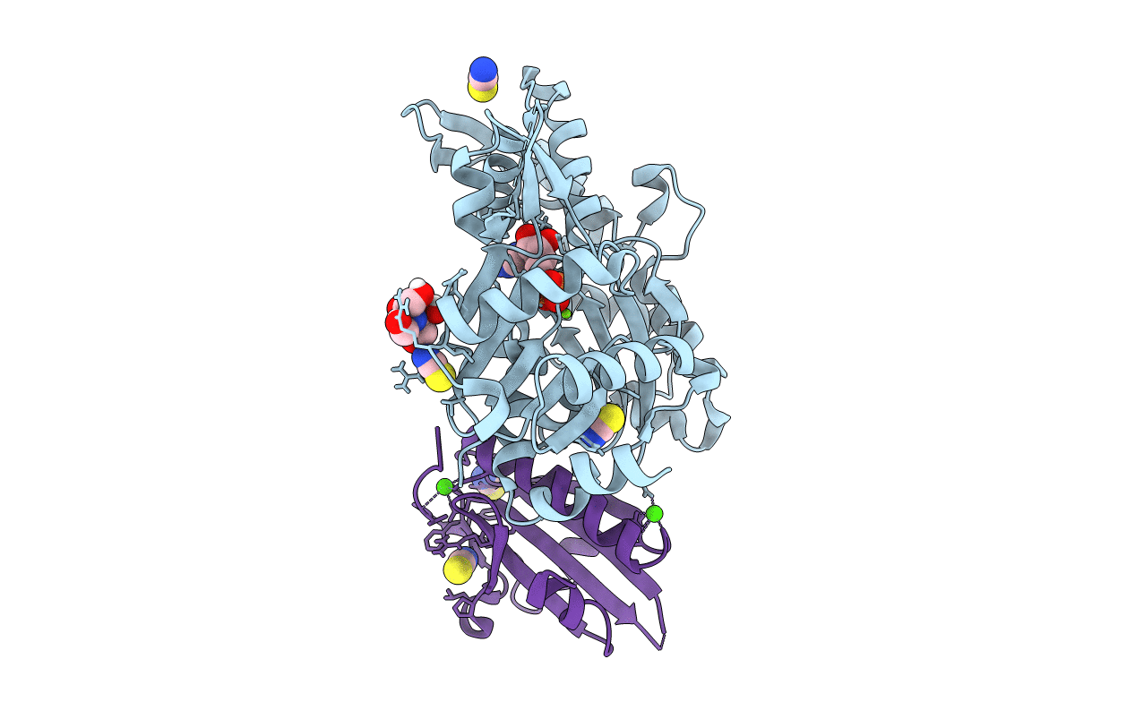 6I4J image