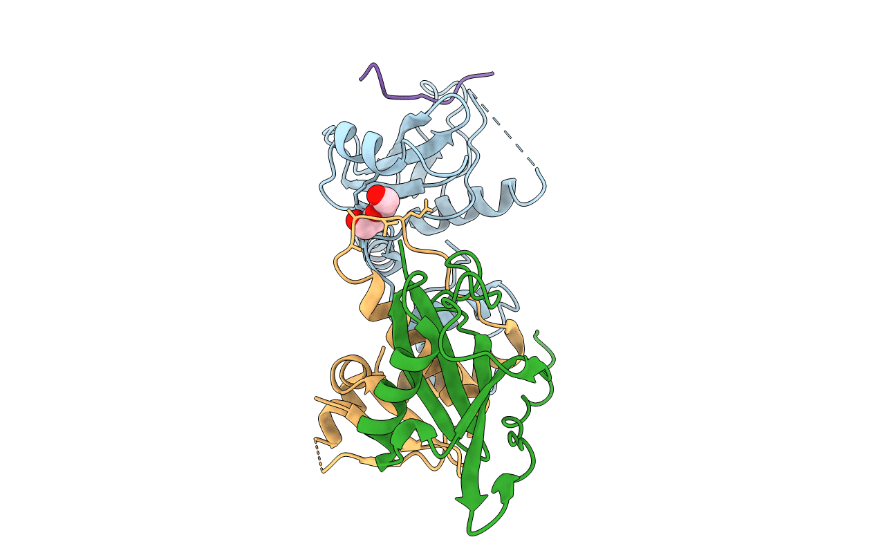 6I4X image