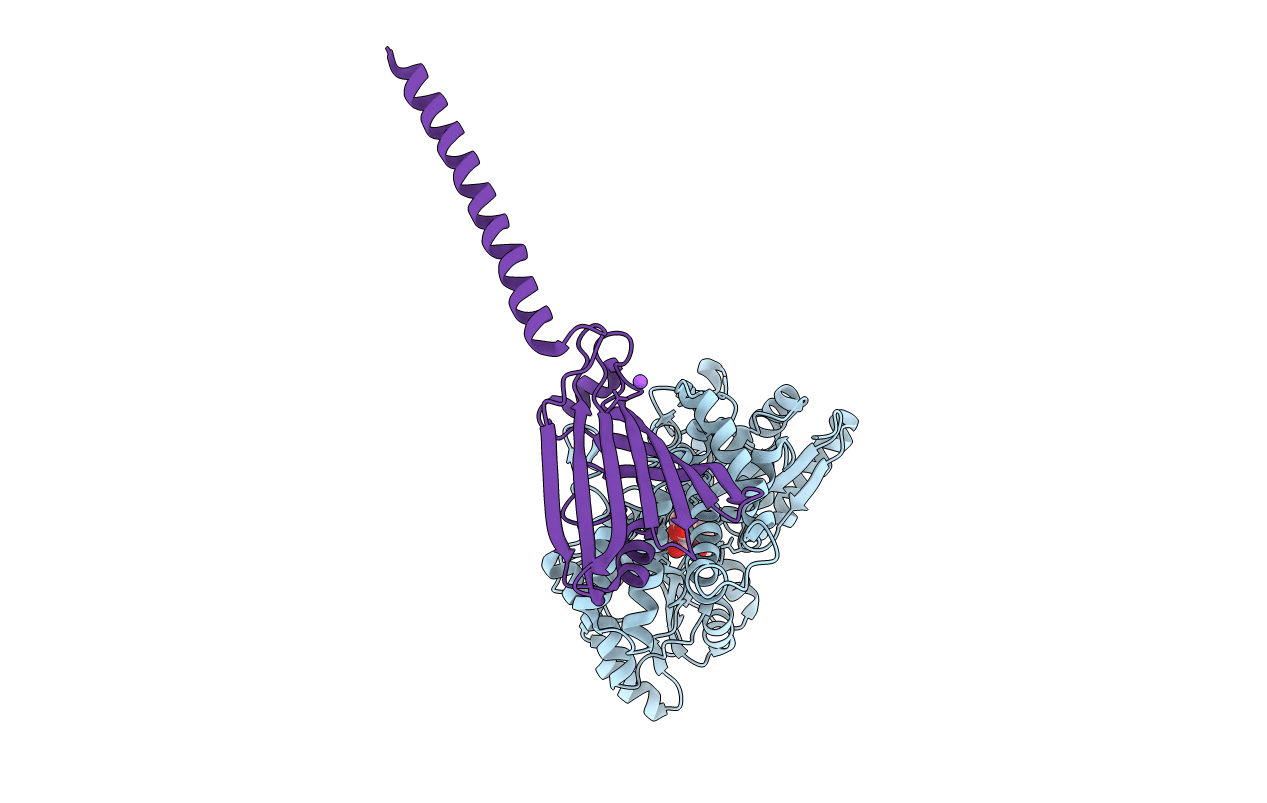 6I4Y image