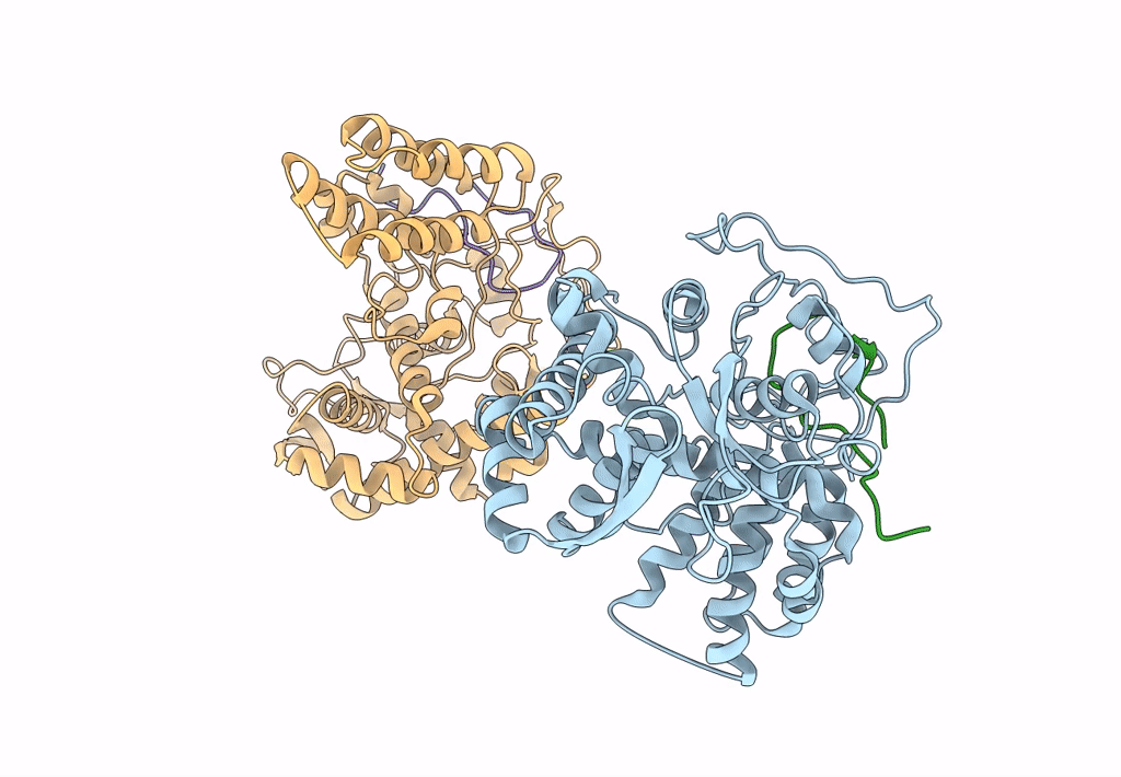 6I54 image