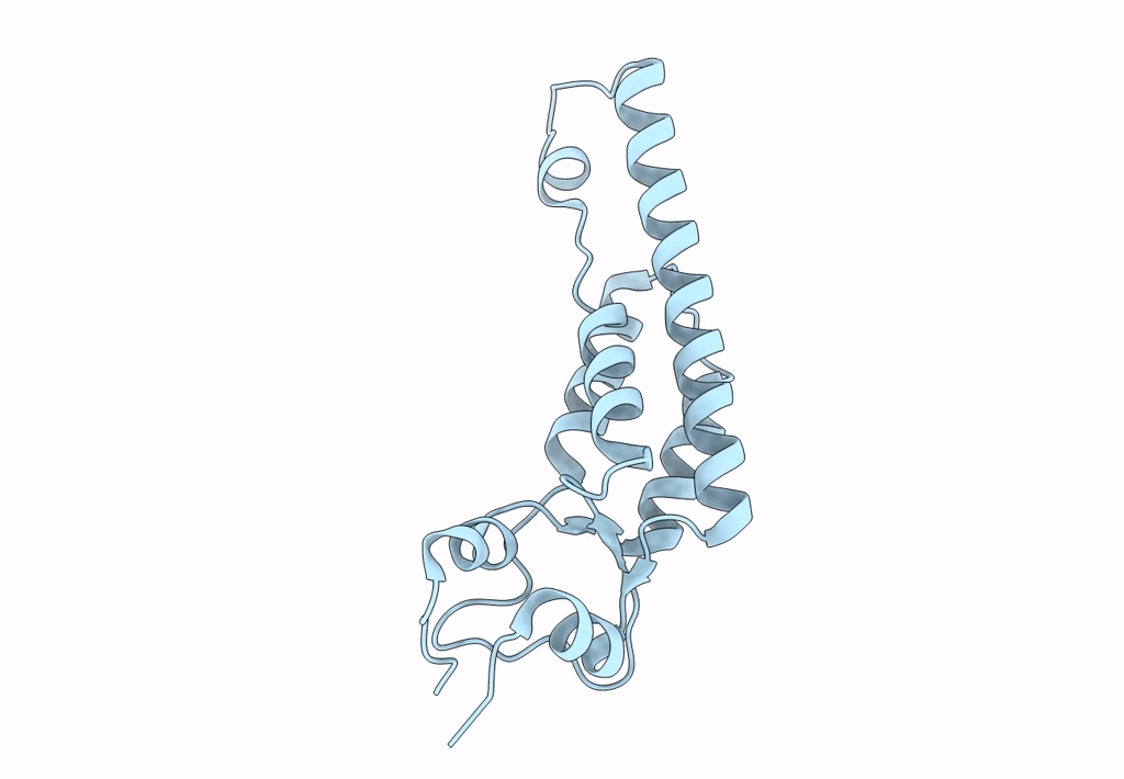 6I5A image