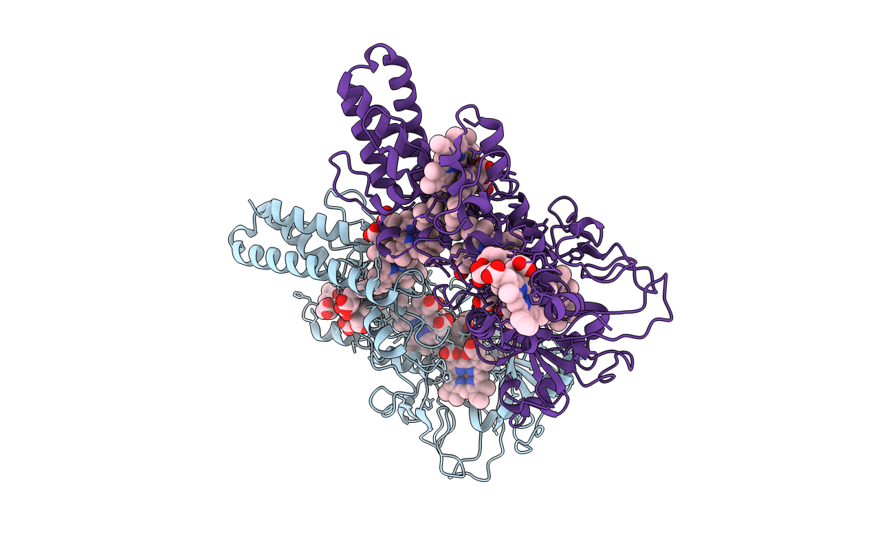 6I5B image