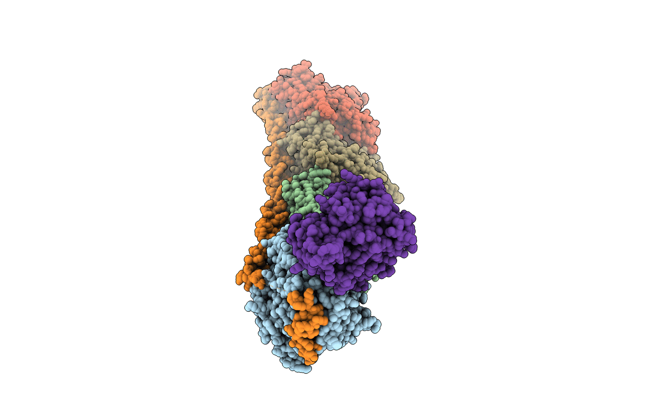 6I5C image
