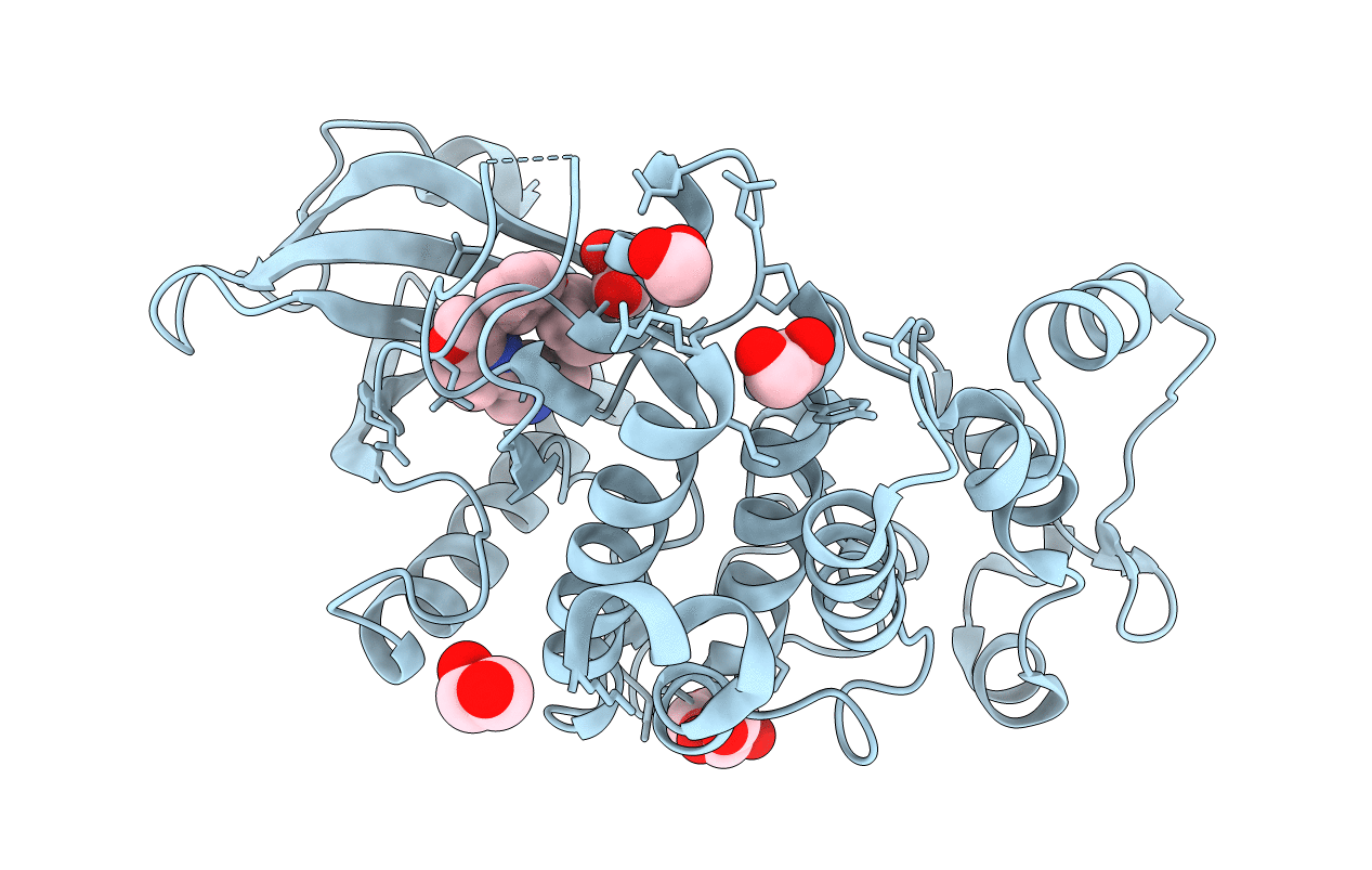6I5H image