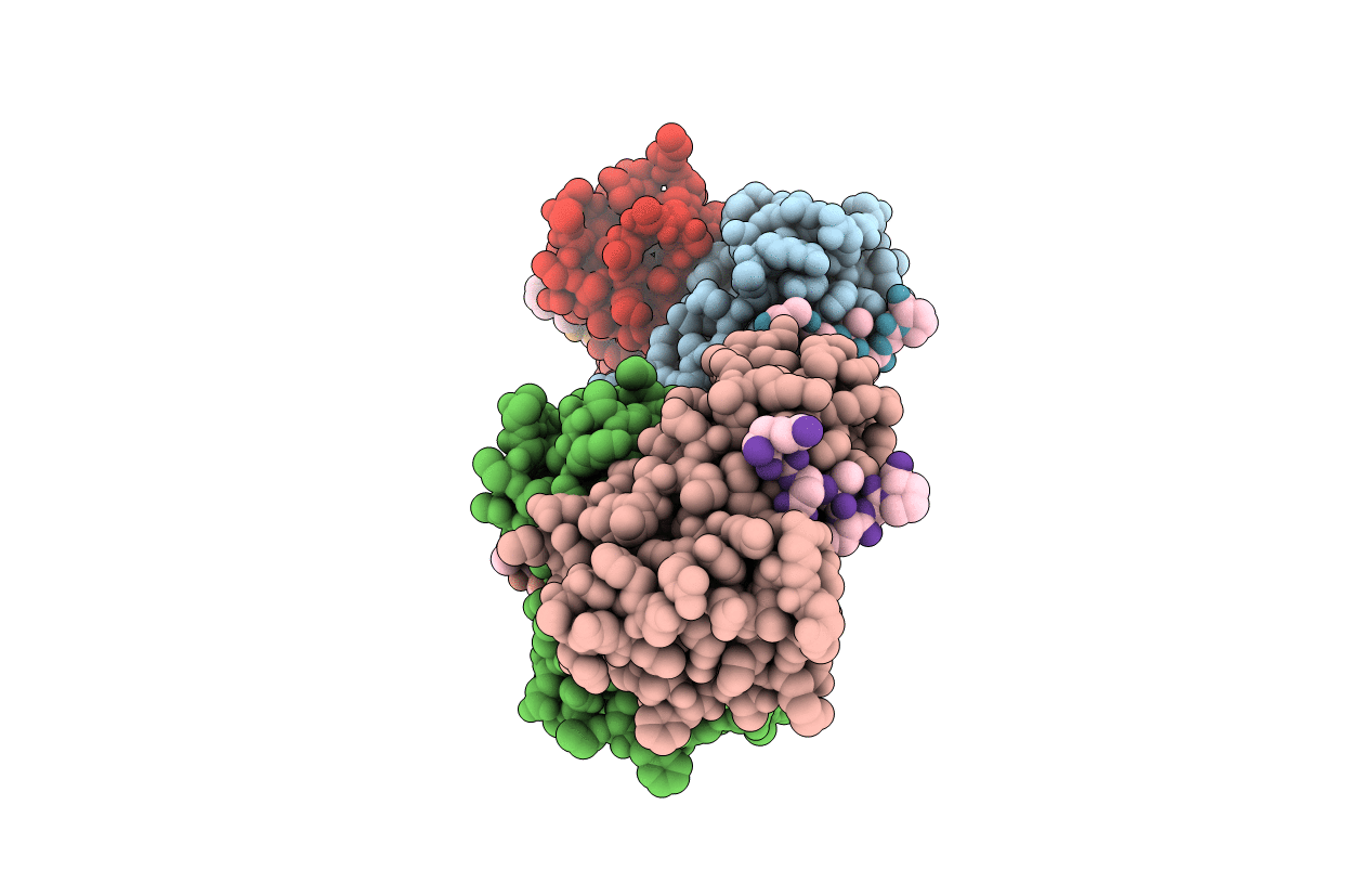 6I5P image