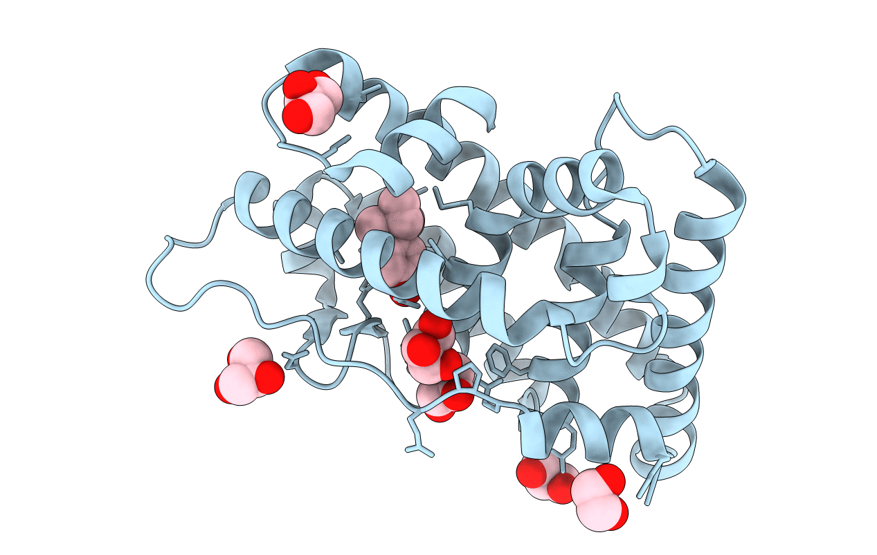 6I61 image