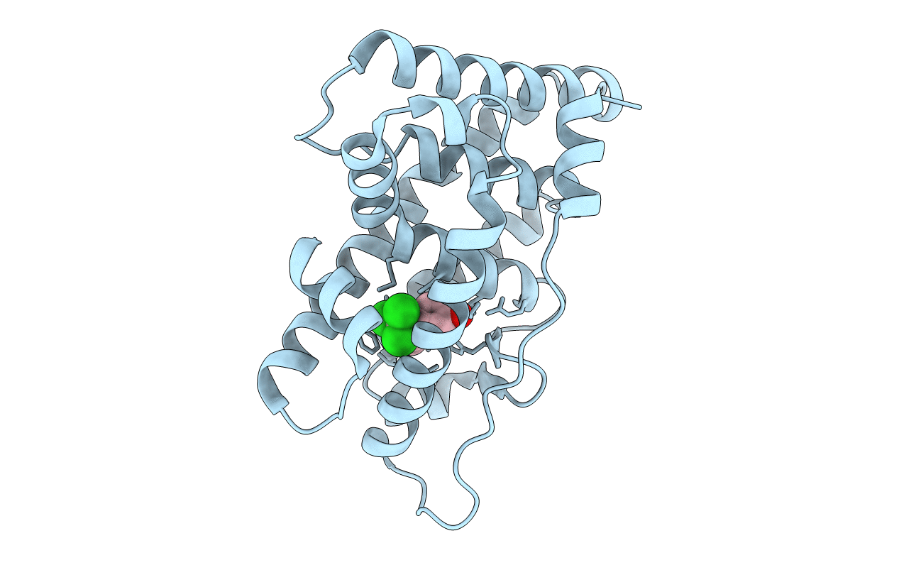 6I62 image