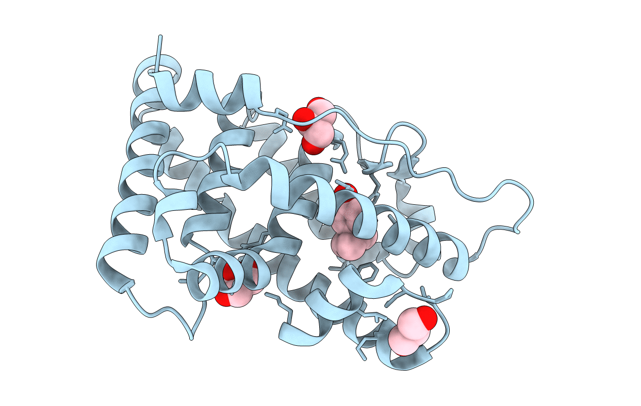 6I64 image