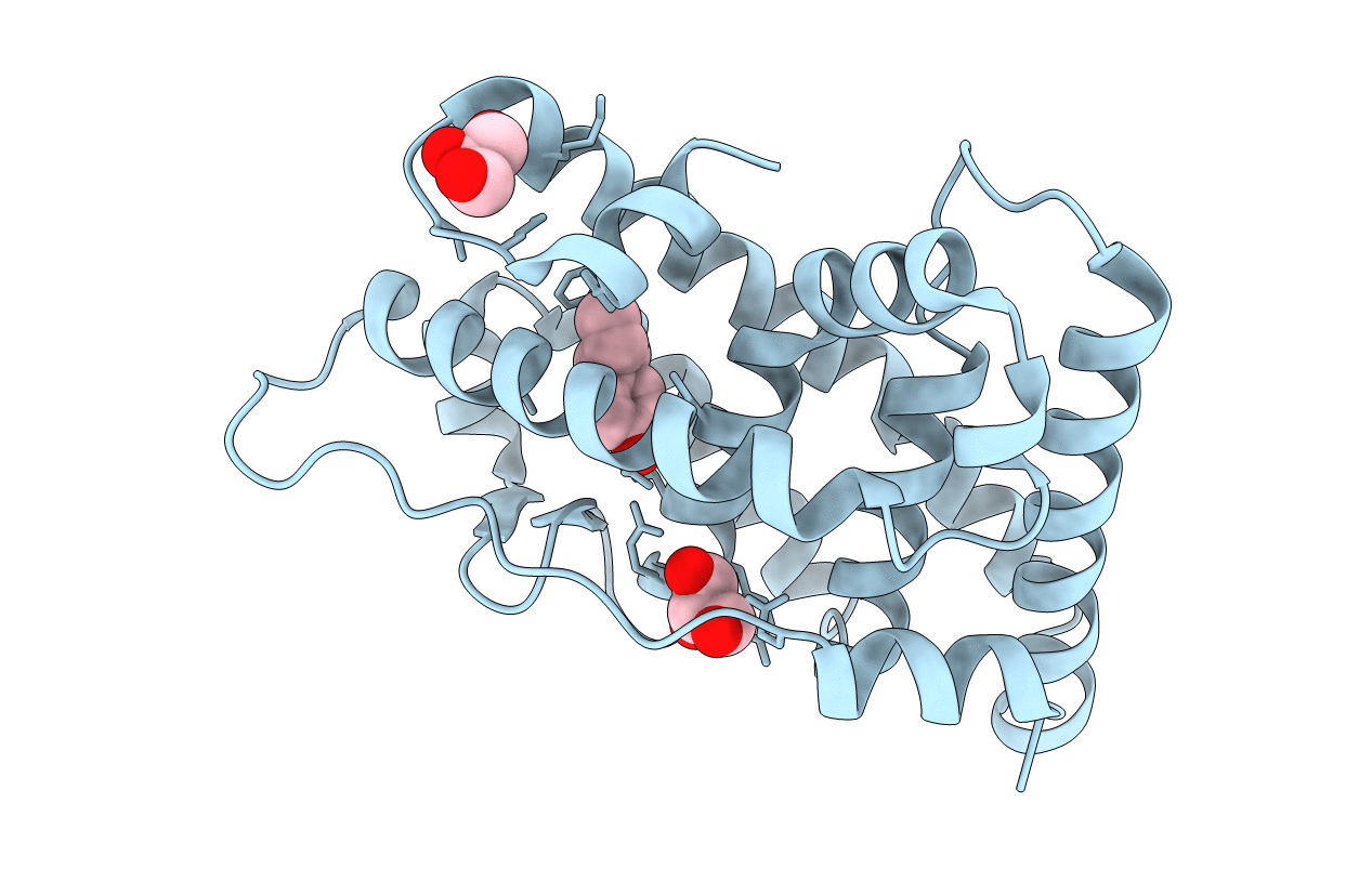 6I66 image