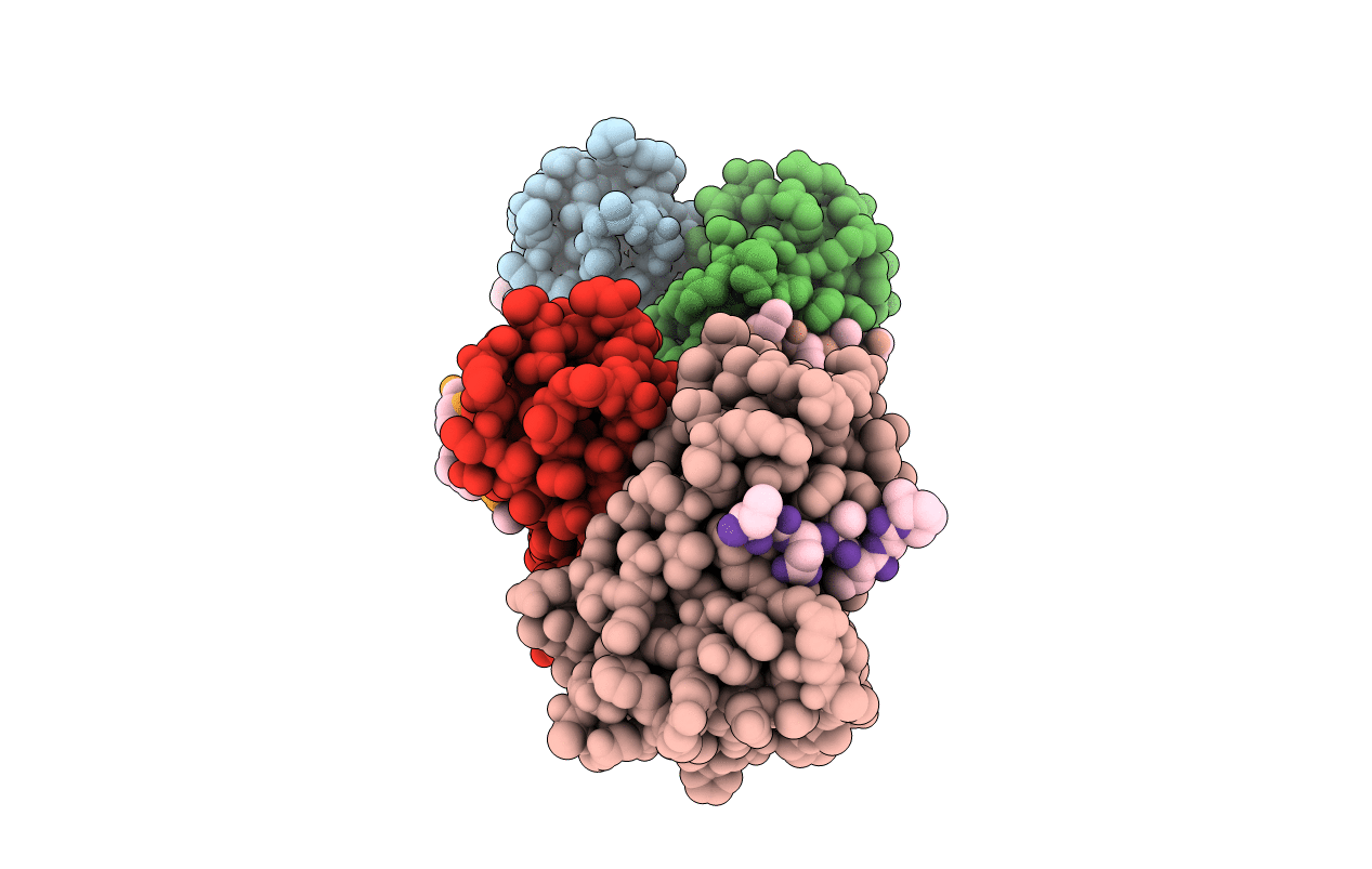 6I68 image