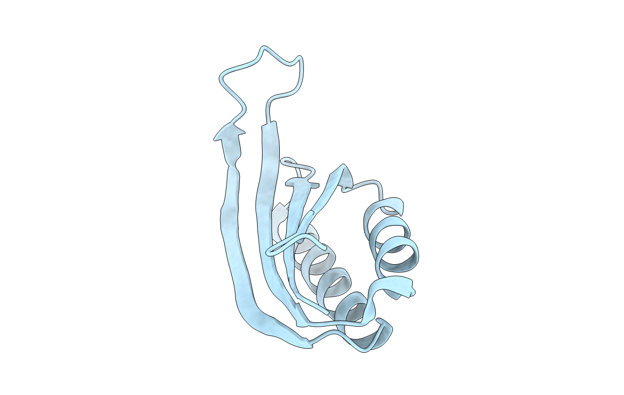 6I6E image
