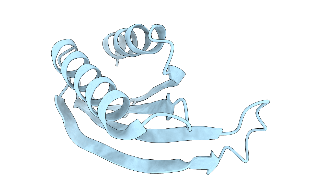 6I6Y image