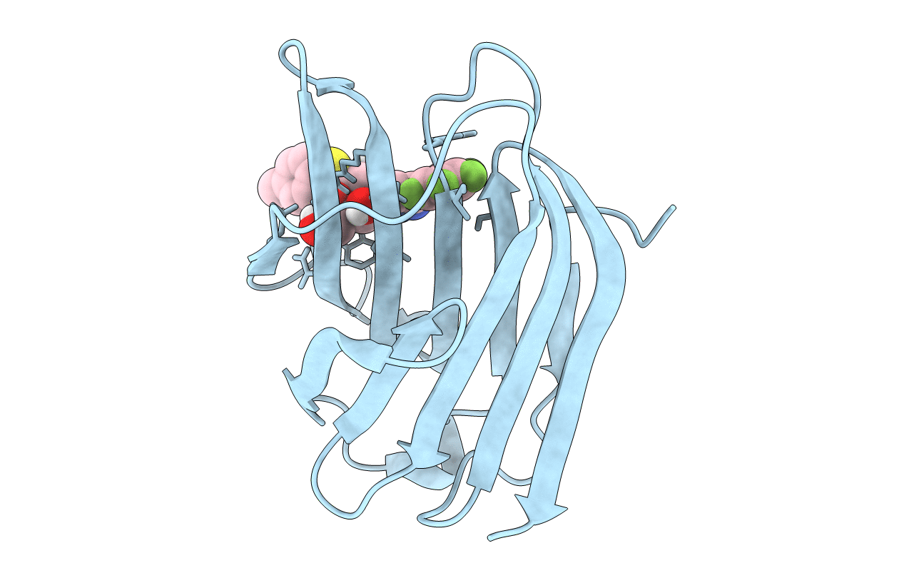 6I74 image