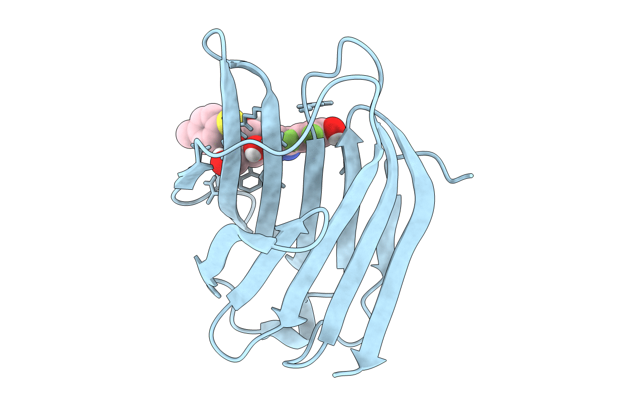 6I75 image