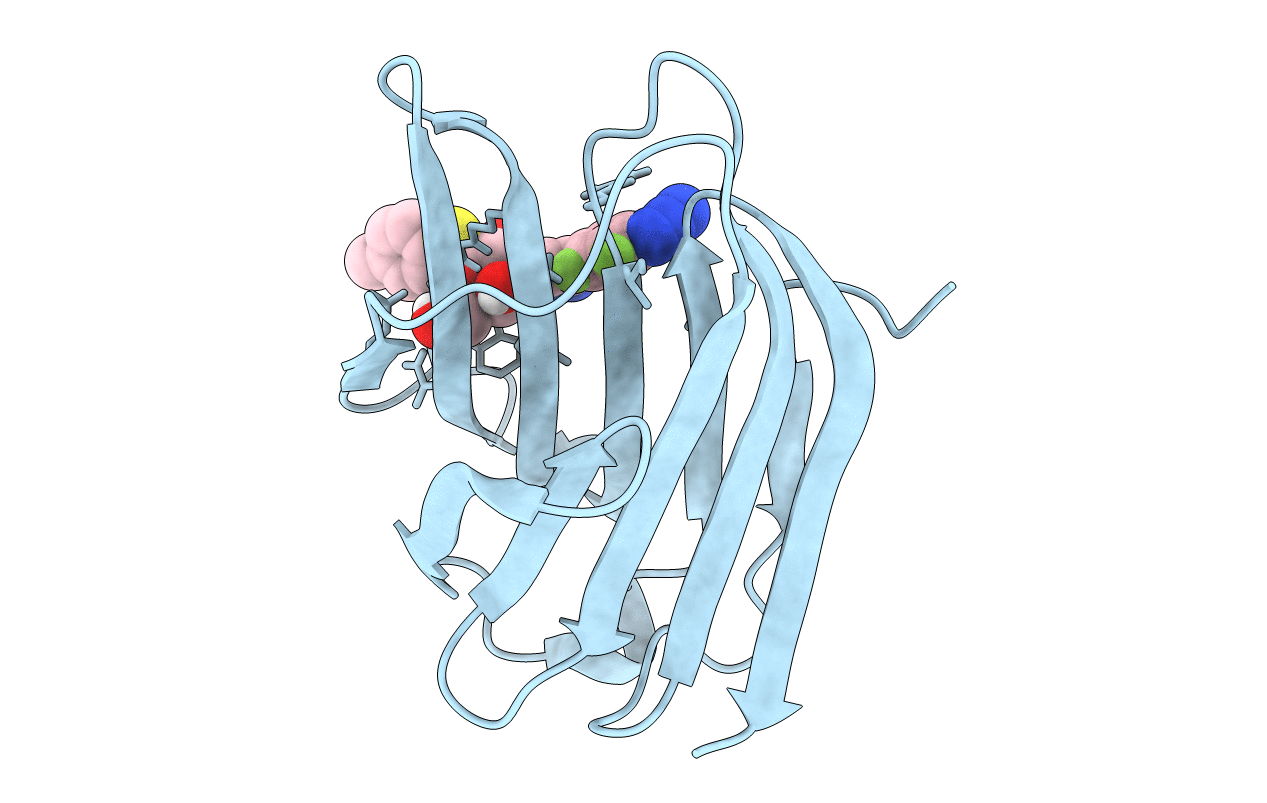 6I76 image