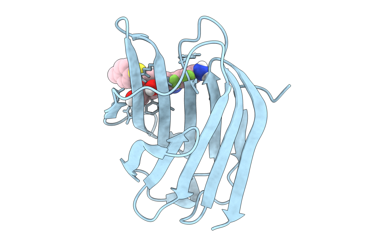 6I77 image