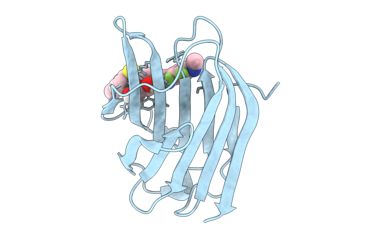 6I78 image