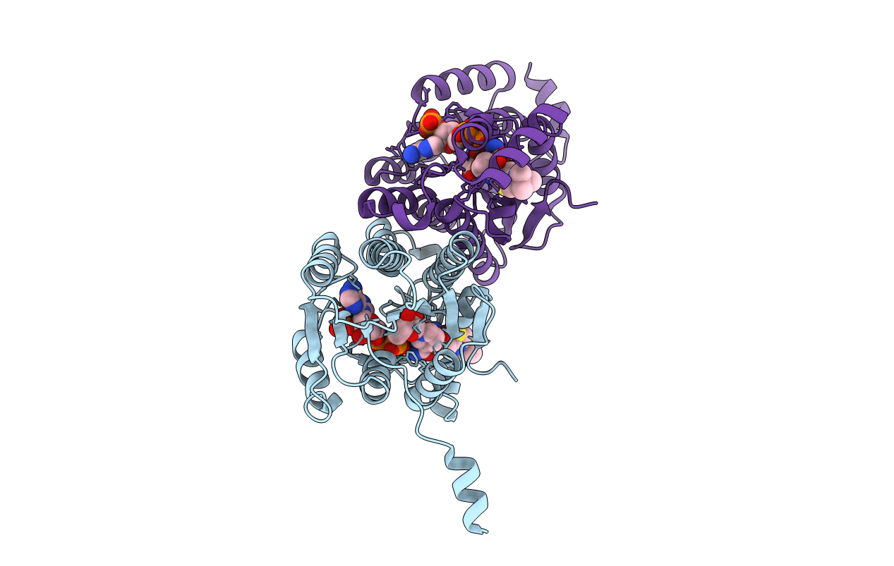 6I79 image