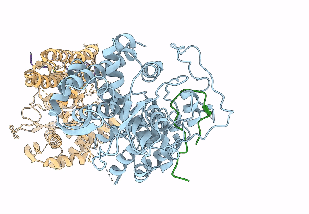 6I7B image