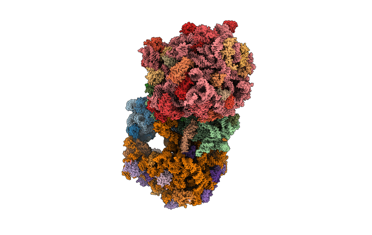 6I7V image