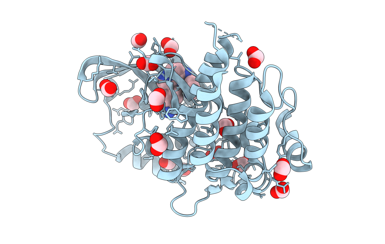 6I83 image