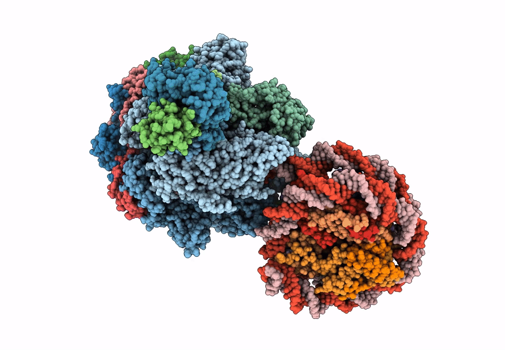 6I84 image