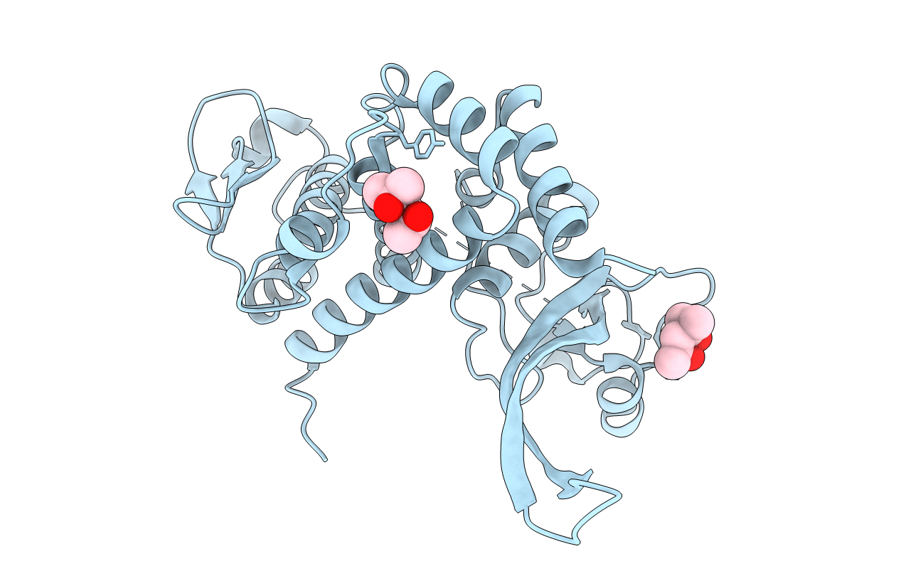 6I89 image