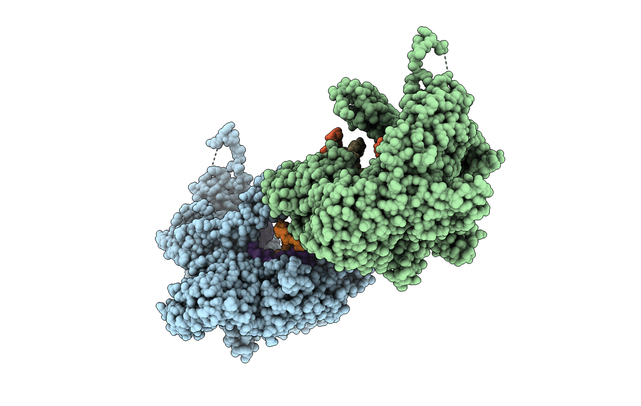 6I8A image