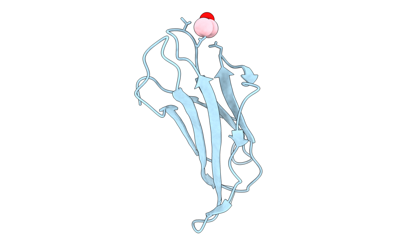 6I8C image