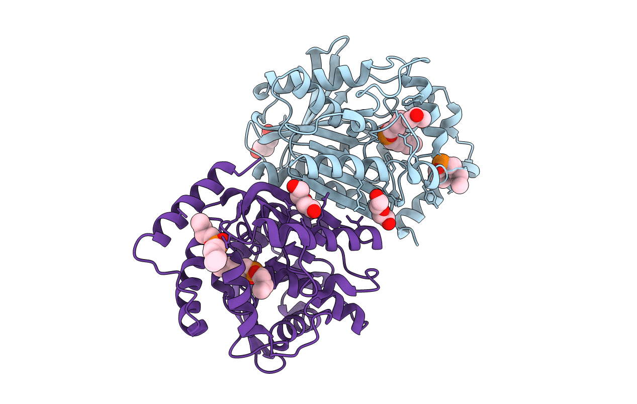 6I8D image