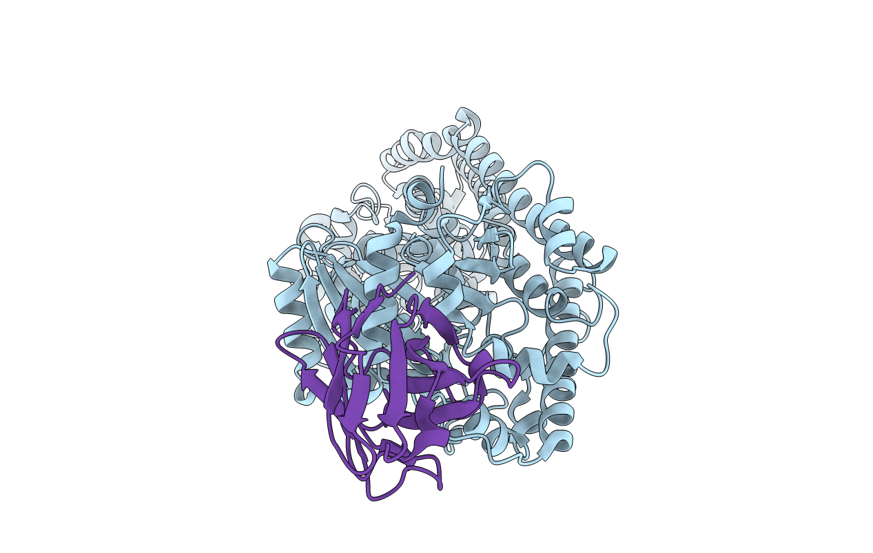 6I8G image