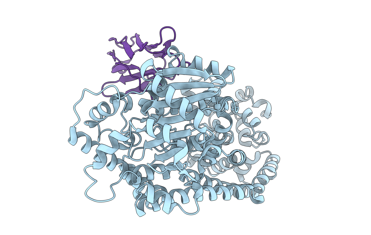 6I8H image