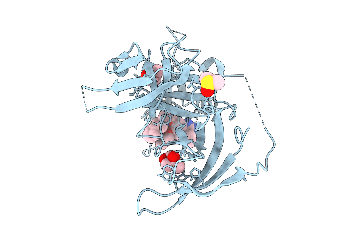 6I8L image
