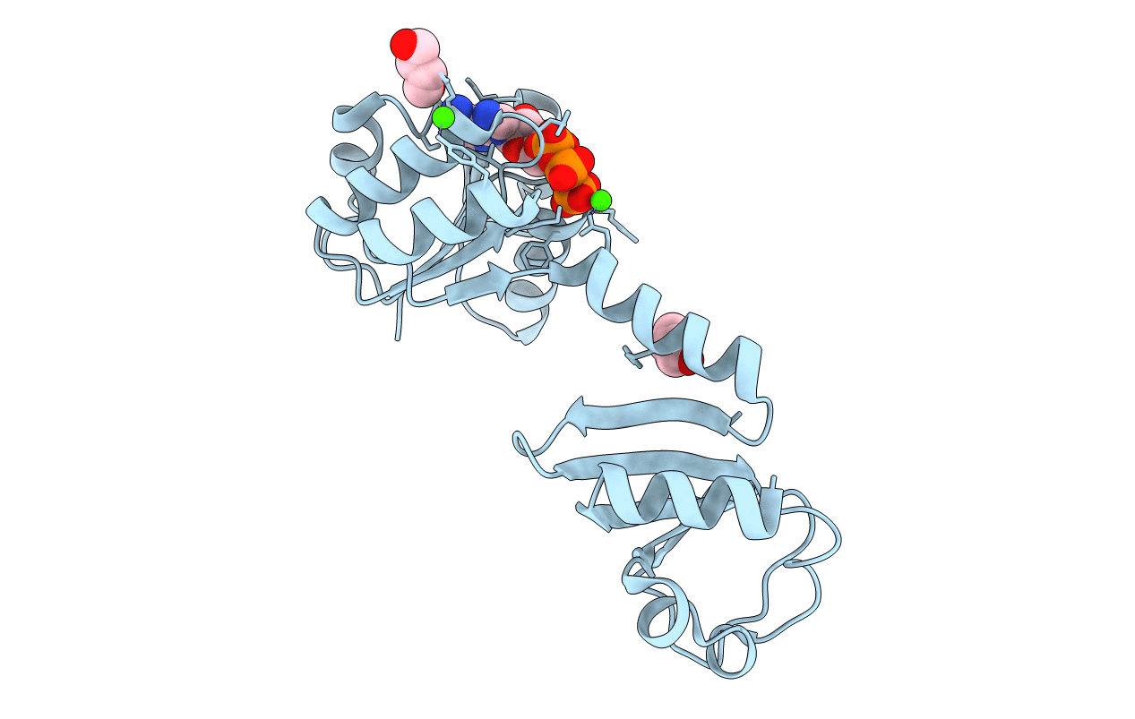 6I8V image