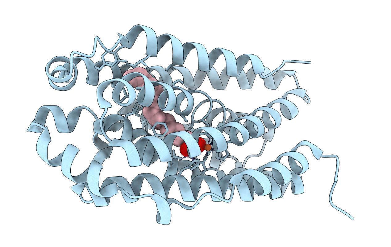 6I90 image