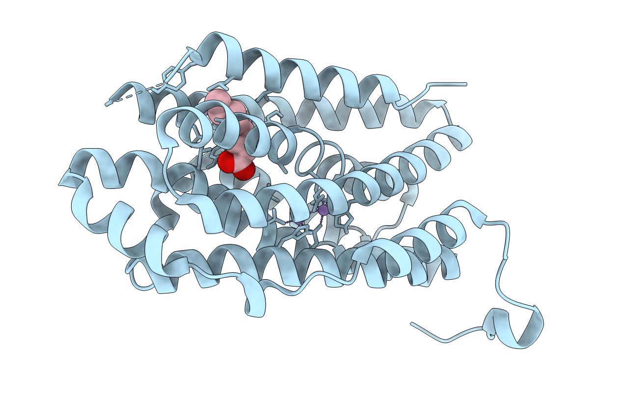 6I94 image