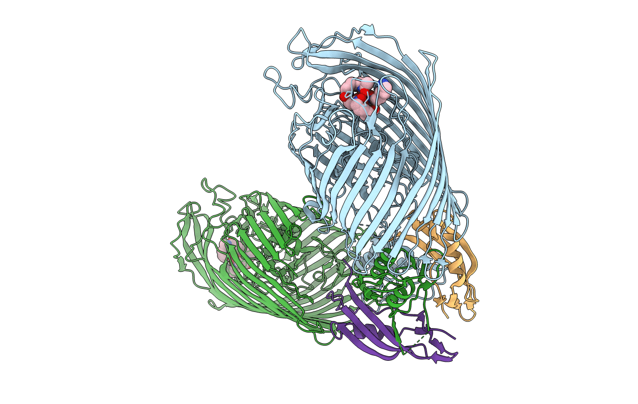 6I97 image