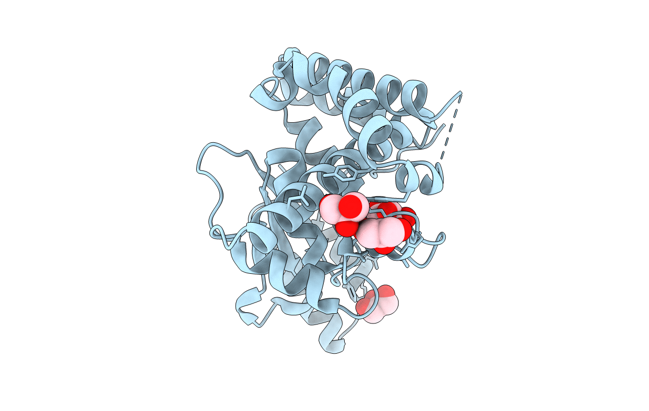 6I9C image