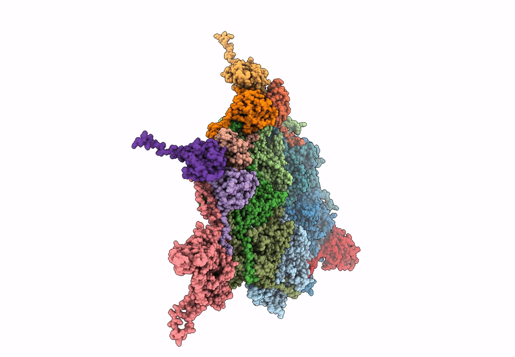 6I9E image