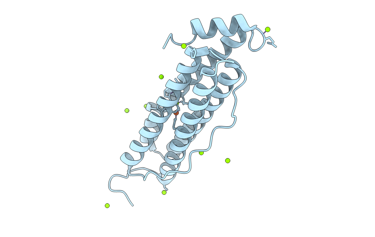 6I9T image