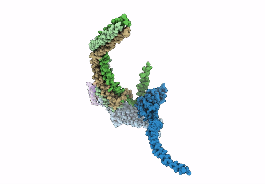 6IAC image