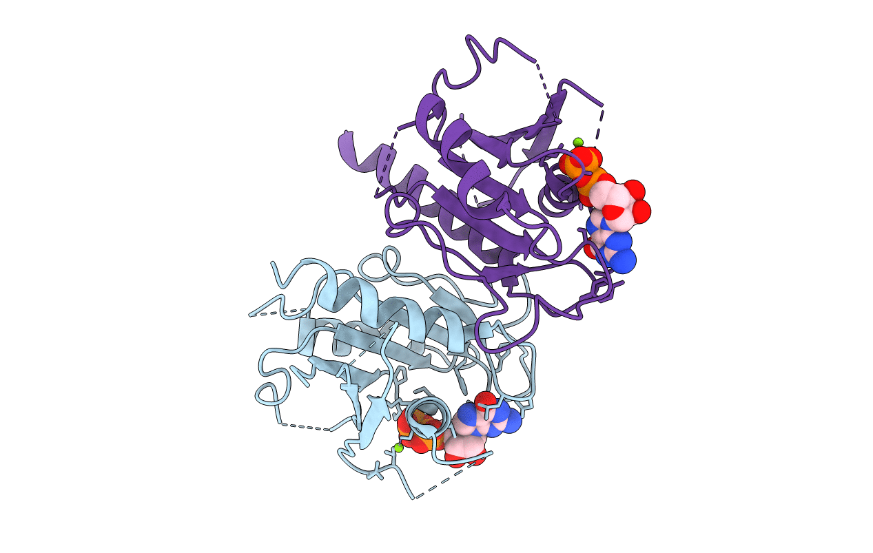 6IAE image